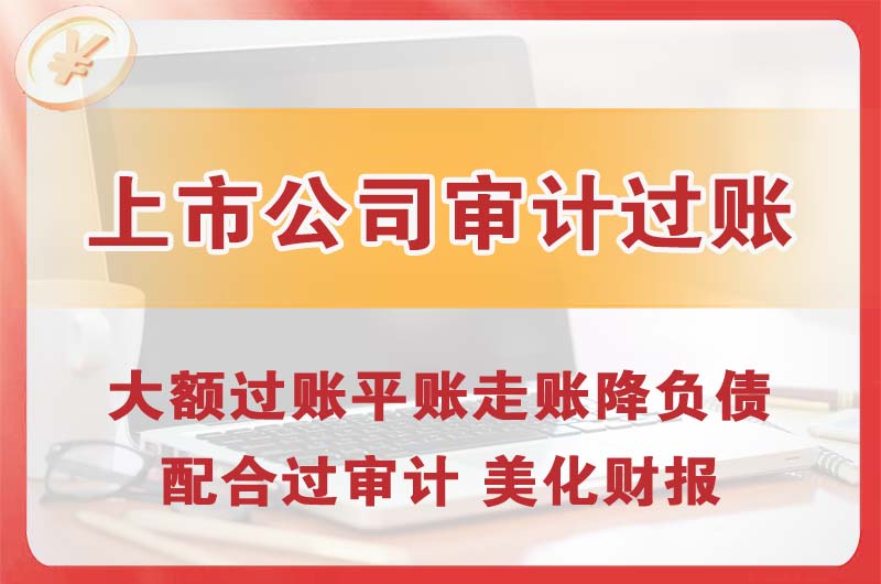 湛江上市公司审计过账